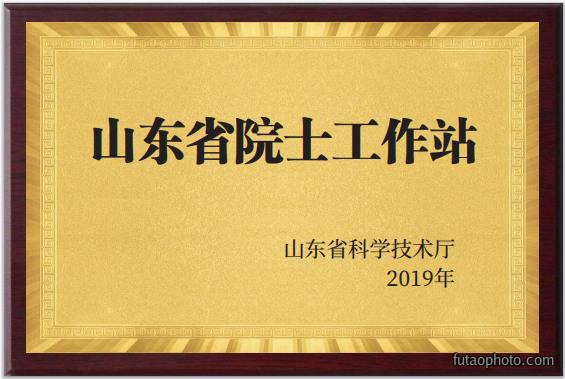 山东省院士工作站