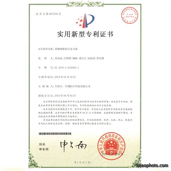 实用新型专利