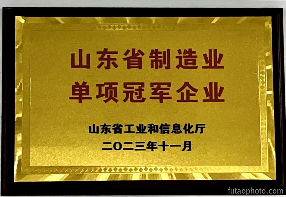 山东省制造业单项冠军企业