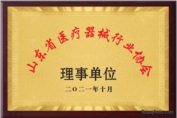 理事单位
