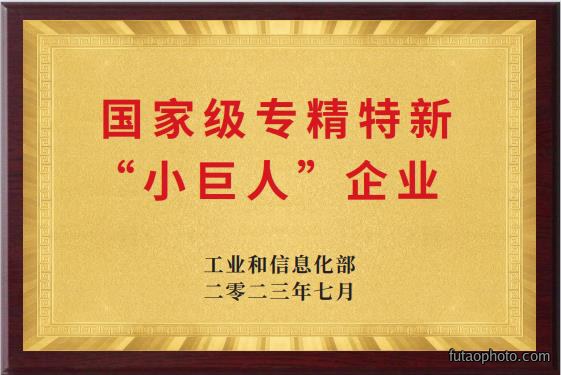 “小巨人”企业
