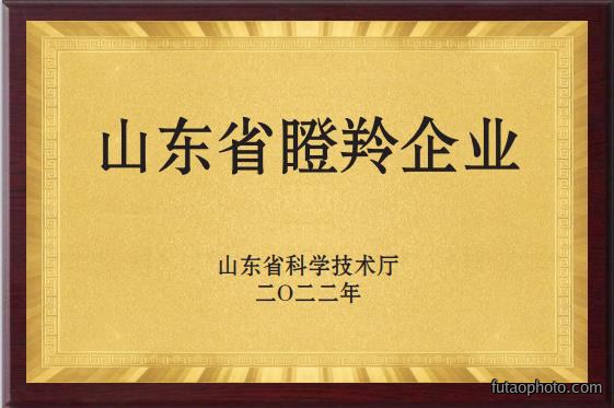 山东省瞪羚企业