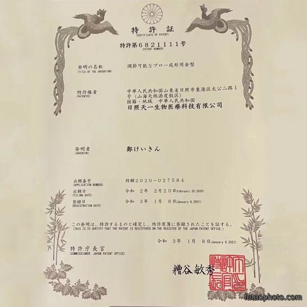 发明专利